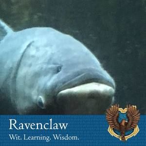 Meet your Posher, Zack